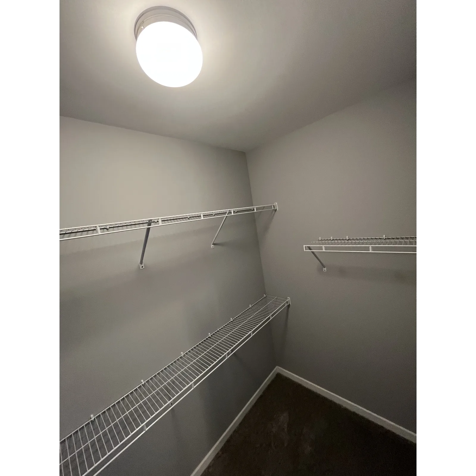 Bathroom ceiling lighting detail